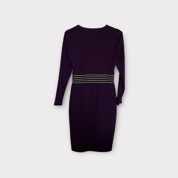 NWOT Eroke Italy Maroon Stretch Dress, Long Sleeve, Striped, Size 10, Lined - Picture 4 of 9